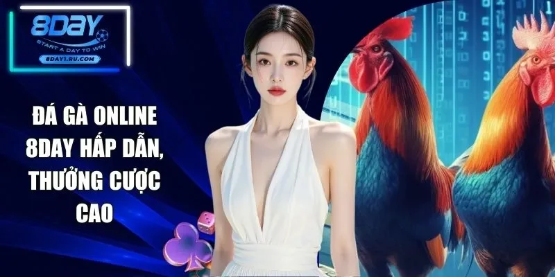 Đá Gà Online 8DAY - Mãn Nhãn Với Nhiều Trận Đấu Hay