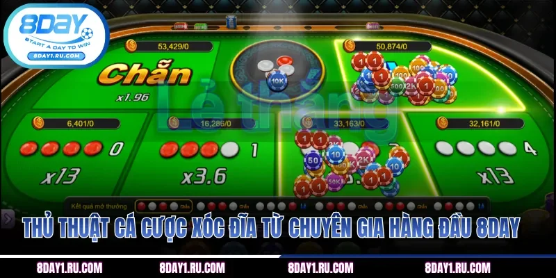 Thủ thuật cá cược xóc đĩa từ chuyên gia hàng đầu